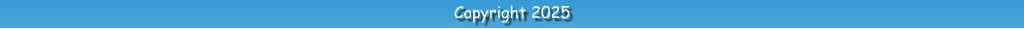 Copyright 2025